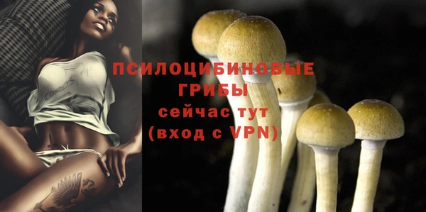 jwh Алзамай