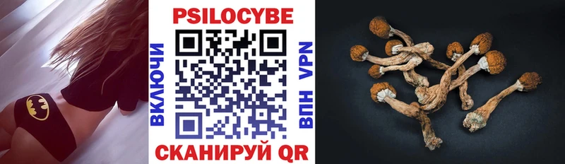 Галлюциногенные грибы Psilocybe купить цена Новый Оскол